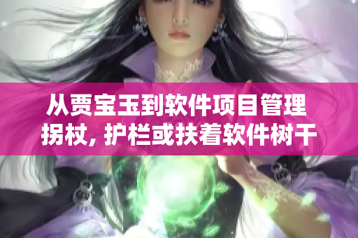 從賈寶玉到軟件項目管理 拐杖, 護(hù)欄或扶著軟件樹干