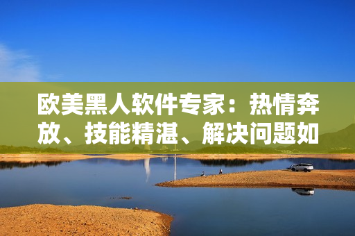 歐美黑人軟件專家：熱情奔放、技能精湛、解決問題如探囊取物