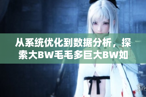 從系統(tǒng)優(yōu)化到數(shù)據(jù)分析，探索大BW毛毛多巨大BW如何提升軟件性能