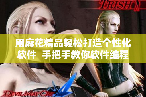 用麻花精品輕松打造個性化軟件  手把手教你軟件編程