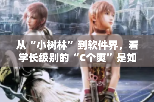 從“小樹林”到軟件界，看學(xué)長(zhǎng)級(jí)別的“C個(gè)爽”是如何體現(xiàn)的