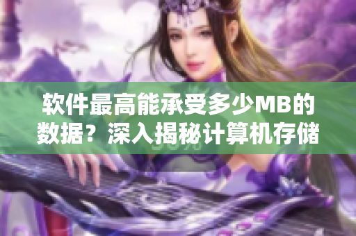 軟件最高能承受多少MB的數(shù)據(jù)？深入揭秘計算機(jī)存儲極限！