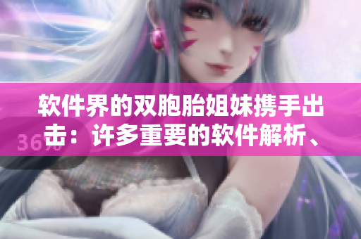 軟件界的雙胞胎姐妹攜手出擊：許多重要的軟件解析、評測數(shù)據(jù)一網(wǎng)打盡