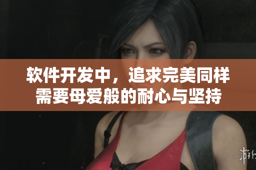 軟件開發(fā)中，追求完美同樣需要母愛般的耐心與堅持