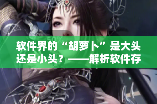 軟件界的“胡蘿卜”是大頭還是小頭？——解析軟件存儲(chǔ)類型的爭(zhēng)議