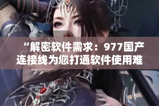 “解密軟件需求：977國產(chǎn)連接線為您打通軟件使用難題”