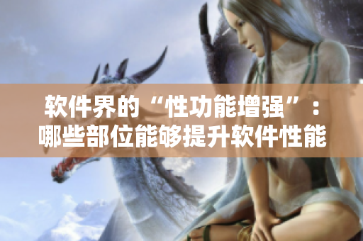 軟件界的“性功能增強(qiáng)”：哪些部位能夠提升軟件性能？