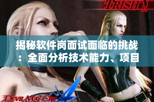 揭秘軟件崗面試面臨的挑戰(zhàn)：全面分析技術(shù)能力、項(xiàng)目經(jīng)驗(yàn)和團(tuán)隊(duì)合作