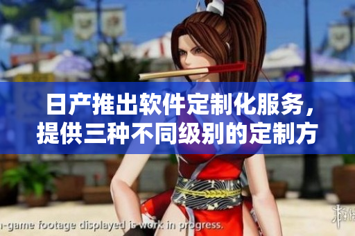 日產(chǎn)推出軟件定制化服務(wù)，提供三種不同級(jí)別的定制方案