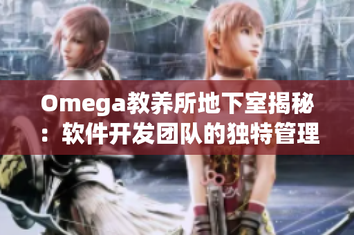 Omega教養(yǎng)所地下室揭秘：軟件開(kāi)發(fā)團(tuán)隊(duì)的獨(dú)特管理之道