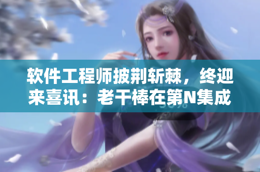 軟件工程師披荊斬棘，終迎來喜訊：老干棒在第N集成功求婚！