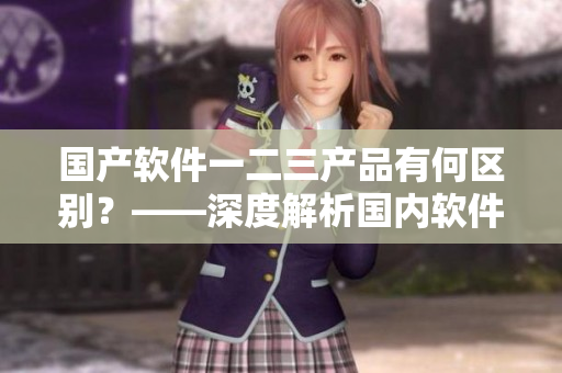 國產(chǎn)軟件一二三產(chǎn)品有何區(qū)別？——深度解析國內(nèi)軟件市場