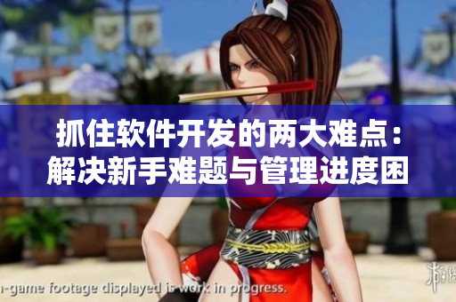 抓住軟件開發(fā)的兩大難點：解決新手難題與管理進(jìn)度困局