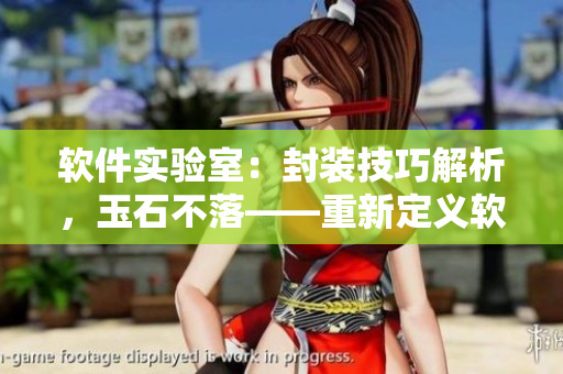 軟件實(shí)驗(yàn)室：封裝技巧解析，玉石不落——重新定義軟件開(kāi)發(fā)的核心理念