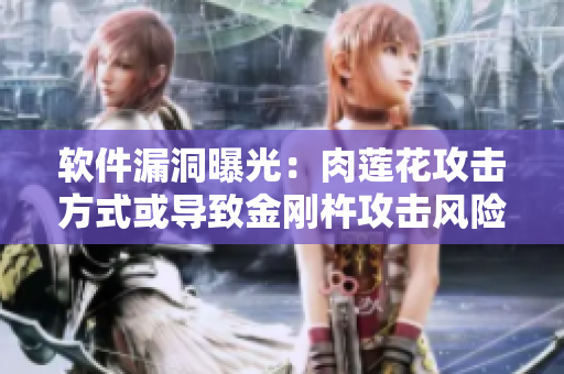 軟件漏洞曝光：肉蓮花攻擊方式或?qū)е陆饎傝乒麸L(fēng)險增加