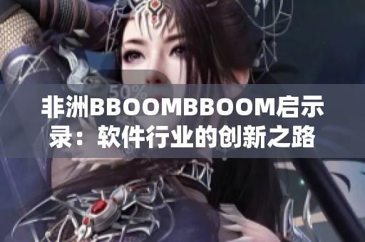 非洲BBOOMBBOOM啟示錄：軟件行業(yè)的創(chuàng)新之路