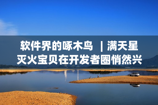 軟件界的啄木鳥 ︱滿天星滅火寶貝在開發(fā)者圈悄然興起！