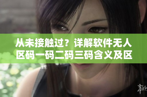 從未接觸過？詳解軟件無人區(qū)碼一碼二碼三碼含義及區(qū)別