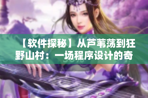 【軟件探秘】從蘆葦蕩到狂野山村：一場程序設計的奇妙之旅