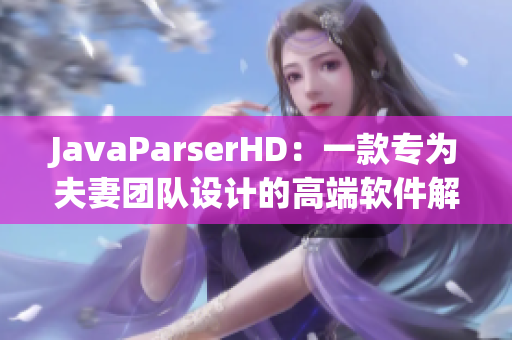 JavaParserHD：一款專為夫妻團(tuán)隊(duì)設(shè)計(jì)的高端軟件解析器