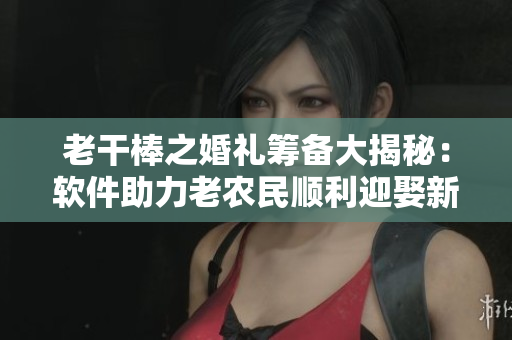 老干棒之婚禮籌備大揭秘：軟件助力老農(nóng)民順利迎娶新娘