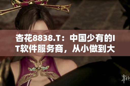 杏花8838.T：中國少有的IT軟件服務商，從小做到大