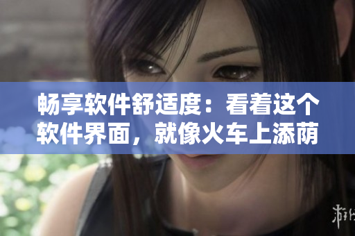 暢享軟件舒適度：看著這個軟件界面，就像火車上添蔭蒂一樣舒服！