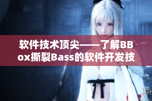 軟件技術頂尖——了解BBox撕裂Bass的軟件開發(fā)技巧