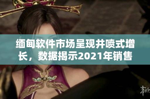 緬甸軟件市場呈現(xiàn)井噴式增長，數(shù)據(jù)揭示2021年銷售額破紀錄