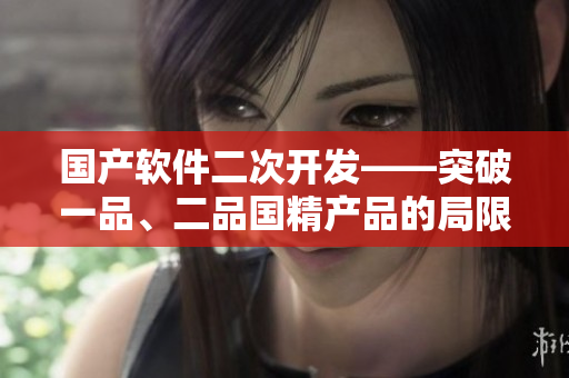 國產(chǎn)軟件二次開發(fā)——突破一品、二品國精產(chǎn)品的局限性