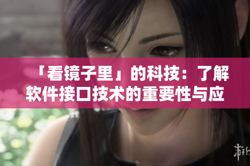 「看鏡子里」的科技：了解軟件接口技術(shù)的重要性與應(yīng)用