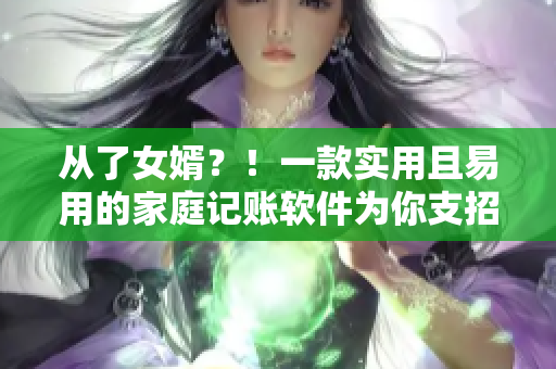 從了女婿？！一款實(shí)用且易用的家庭記賬軟件為你支招