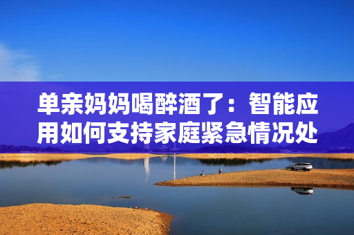 單親媽媽喝醉酒了：智能應(yīng)用如何支持家庭緊急情況處理？