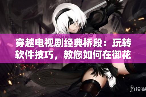 穿越電視劇經典橋段：玩轉軟件技巧，教您如何在御花園吃龍棍