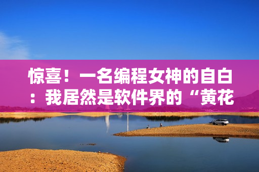 驚喜！一名編程女神的自白：我居然是軟件界的“黃花大閨女”