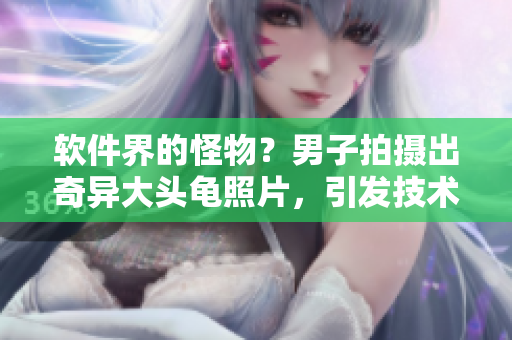 軟件界的怪物？男子拍攝出奇異大頭龜照片，引發(fā)技術界關注