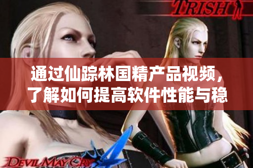 通過(guò)仙蹤林國(guó)精產(chǎn)品視頻，了解如何提高軟件性能與穩(wěn)定性