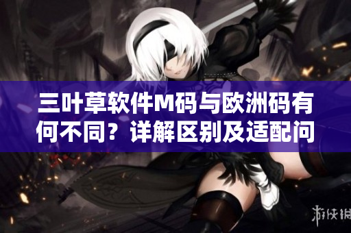 三葉草軟件M碼與歐洲碼有何不同？詳解區(qū)別及適配問題