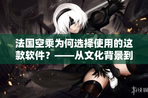 法國空乘為何選擇使用的這款軟件？——從文化背景到技術(shù)優(yōu)勢的全面解析