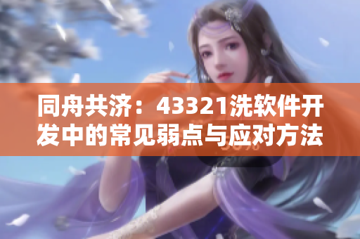 同舟共濟：43321洗軟件開發(fā)中的常見弱點與應對方法