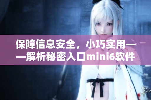 保障信息安全，小巧實(shí)用——解析秘密入口mini6軟件的安全保護(hù)機(jī)制