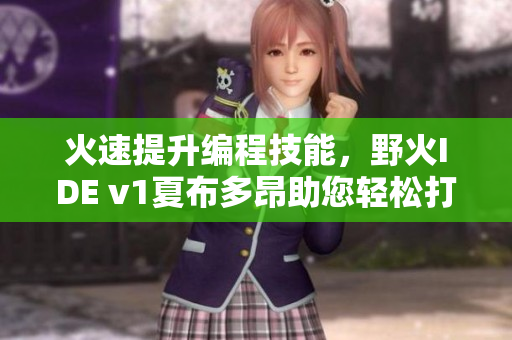 火速提升編程技能，野火IDE v1夏布多昂助您輕松打造高質(zhì)量代碼