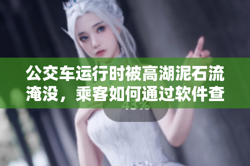公交車運(yùn)行時(shí)被高湖泥石流淹沒，乘客如何通過軟件查看實(shí)時(shí)路線？