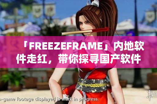 「FREEZEFRAME」內(nèi)地軟件走紅，帶你探尋國(guó)產(chǎn)軟件行業(yè)的新機(jī)遇