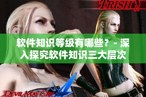 軟件知識等級有哪些？- 深入探究軟件知識三大層次