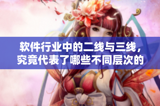 軟件行業(yè)中的二線與三線，究竟代表了哪些不同層次的企業(yè)？