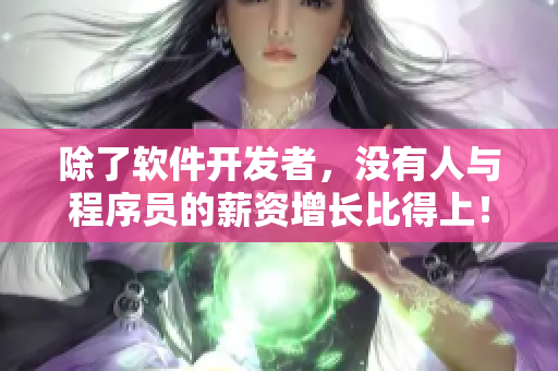 除了軟件開(kāi)發(fā)者，沒(méi)有人與程序員的薪資增長(zhǎng)比得上！——美國(guó)