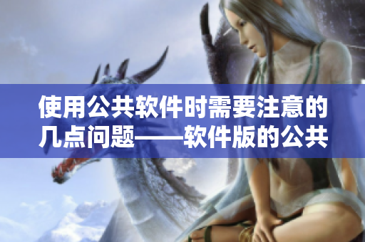 使用公共軟件時(shí)需要注意的幾點(diǎn)問(wèn)題——軟件版的公共玩具
