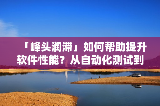 「峰頭潤滯」如何幫助提升軟件性能？從自動化測試到代碼優(yōu)化告訴你！