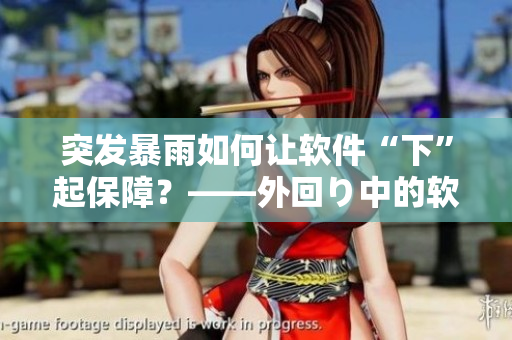 突發(fā)暴雨如何讓軟件“下”起保障？——外回り中的軟件安全保障策略